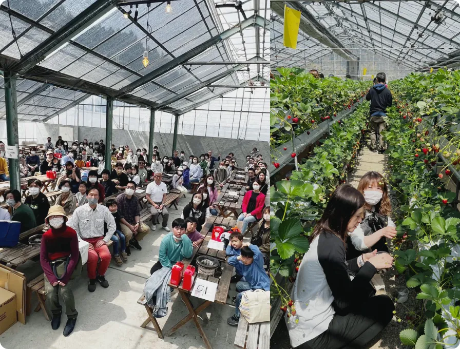 春の桜祭りで家族と交流する様子